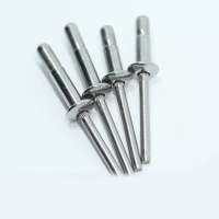 Stainless Steel Structure Interlock Rivets